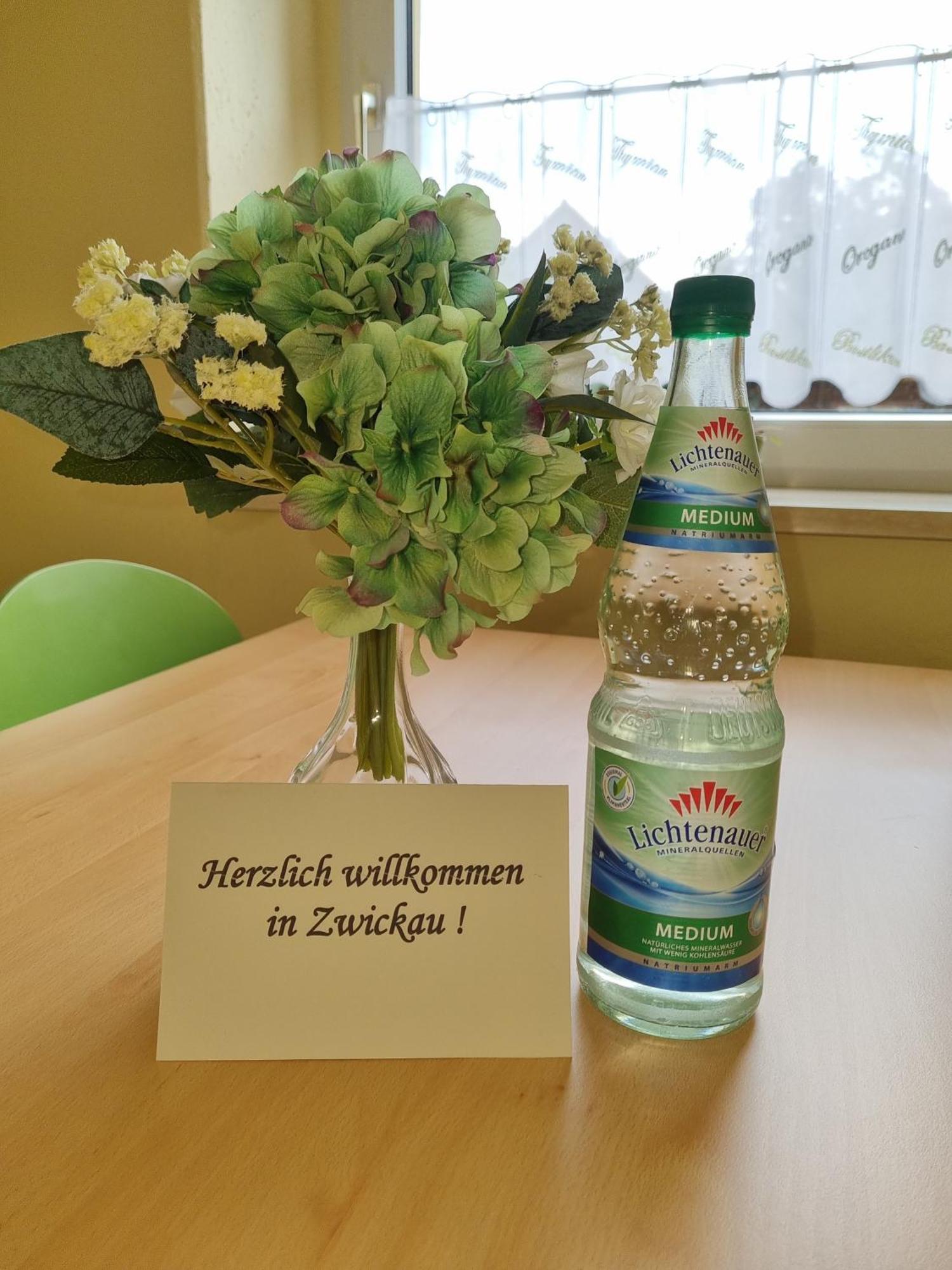 Ferienwohnung Im Zentrum Zwickaus 外观 照片