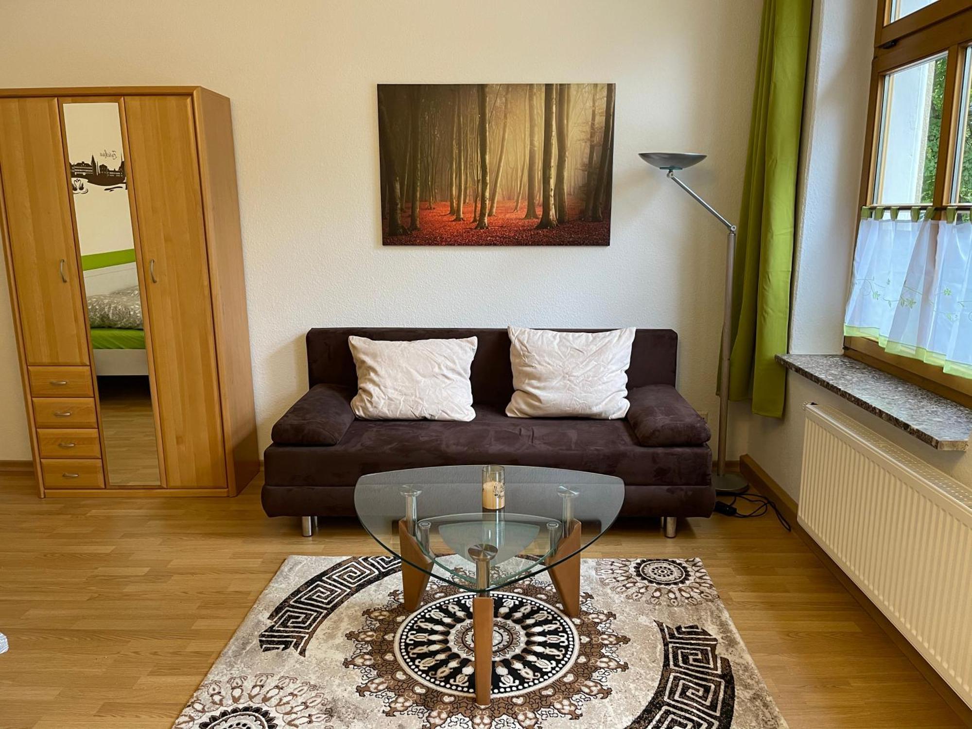 Ferienwohnung Im Zentrum Zwickaus 外观 照片